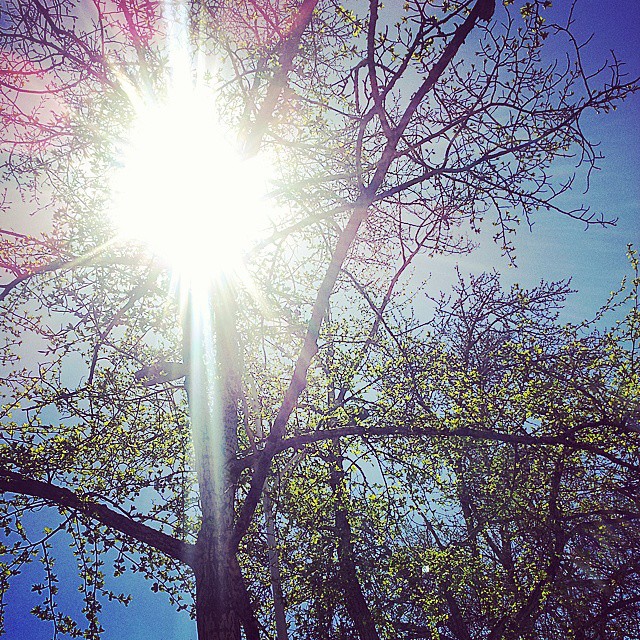 7 хоногийн сүүлээр нэмэх хэмд хүрч дулаарна